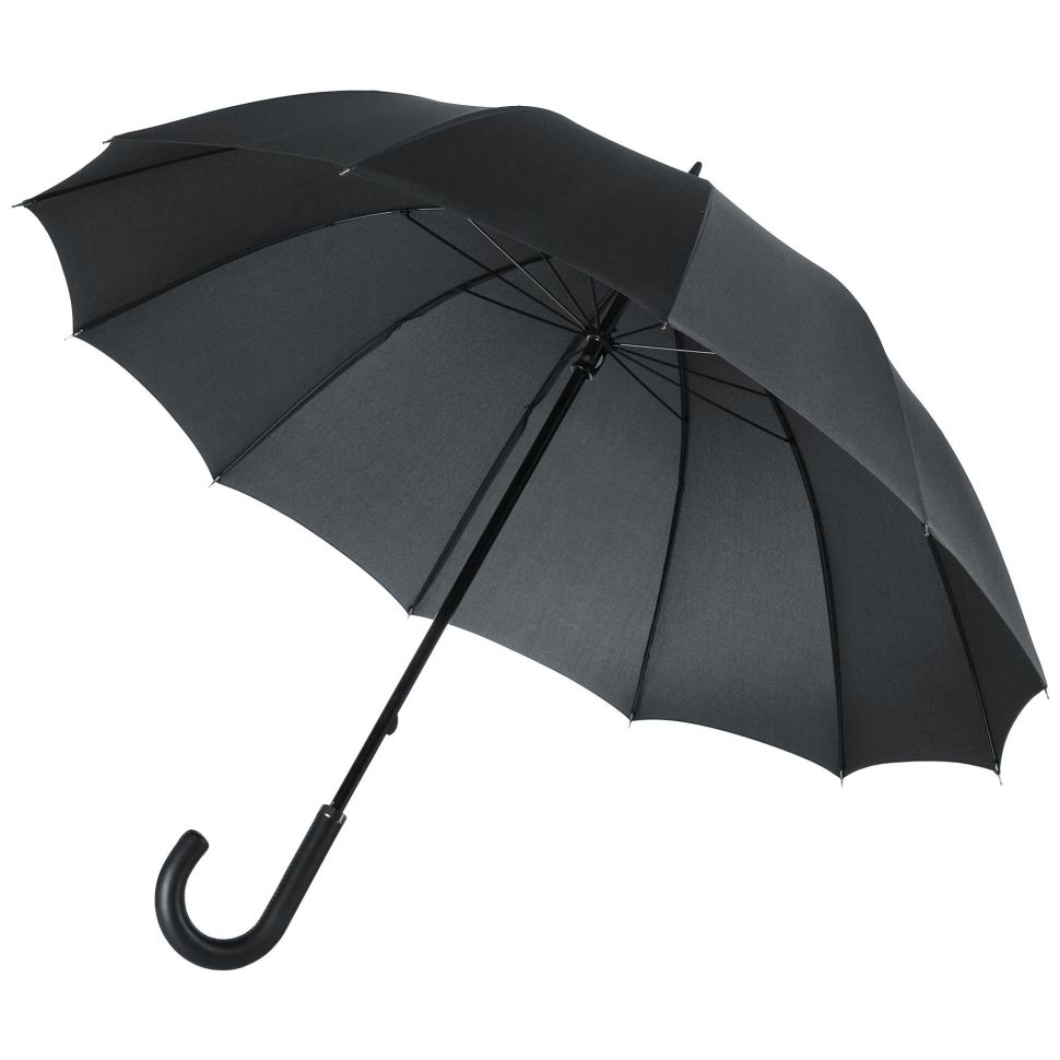 Зонт-трость Lui, черный фото 1